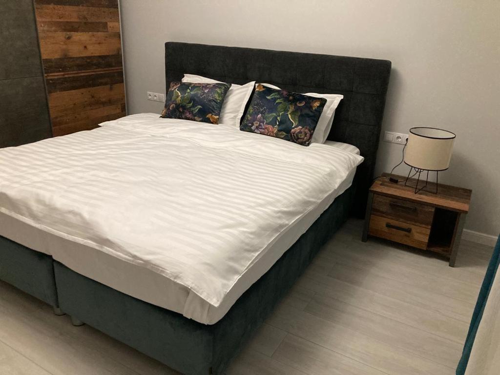 Sibiu Ezonia Central Apartment Экстерьер фото